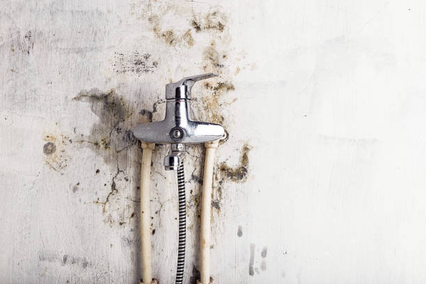 Best Mold Testing  in Martins Additions, MD