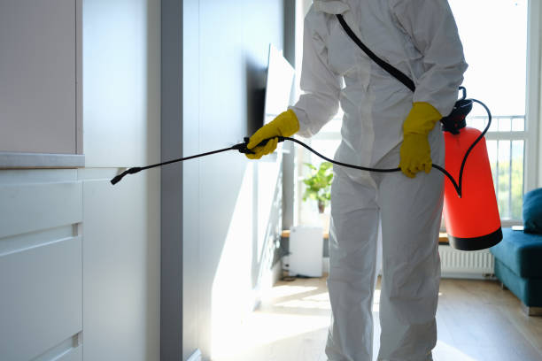 Best Certified Mold Removal  in Martins Additions, MD