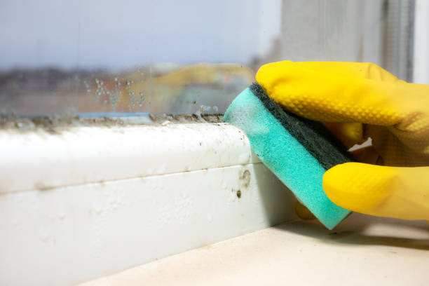 Best Emergency Mold Removal  in Martins Additions, MD