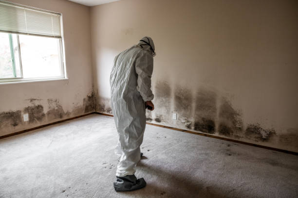 Mold Testing and Removal in Martins Additions, MD